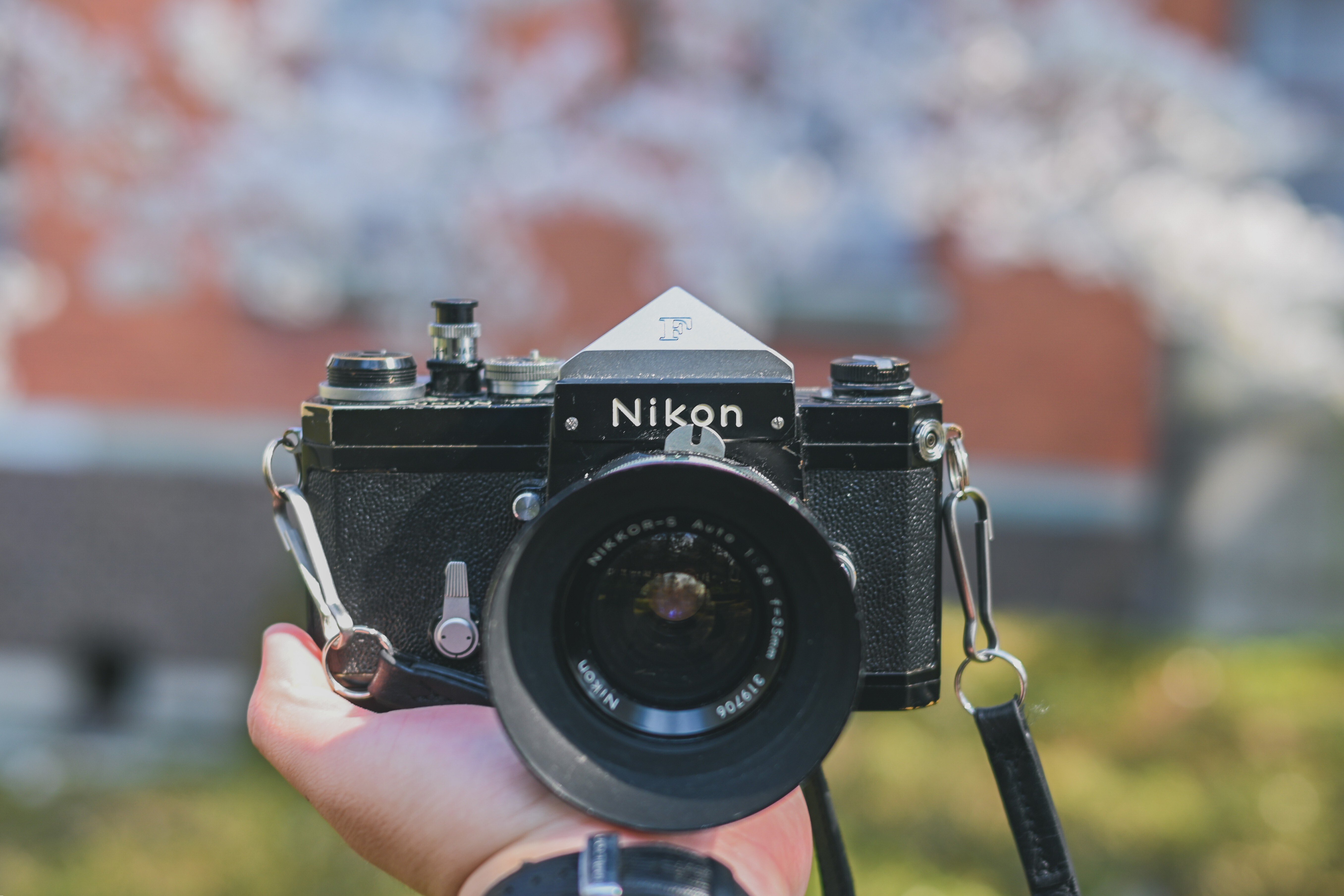 桜満開の金沢！】ニコン Fとポジ/ネガフィルムで撮る桜｜もんぶらん