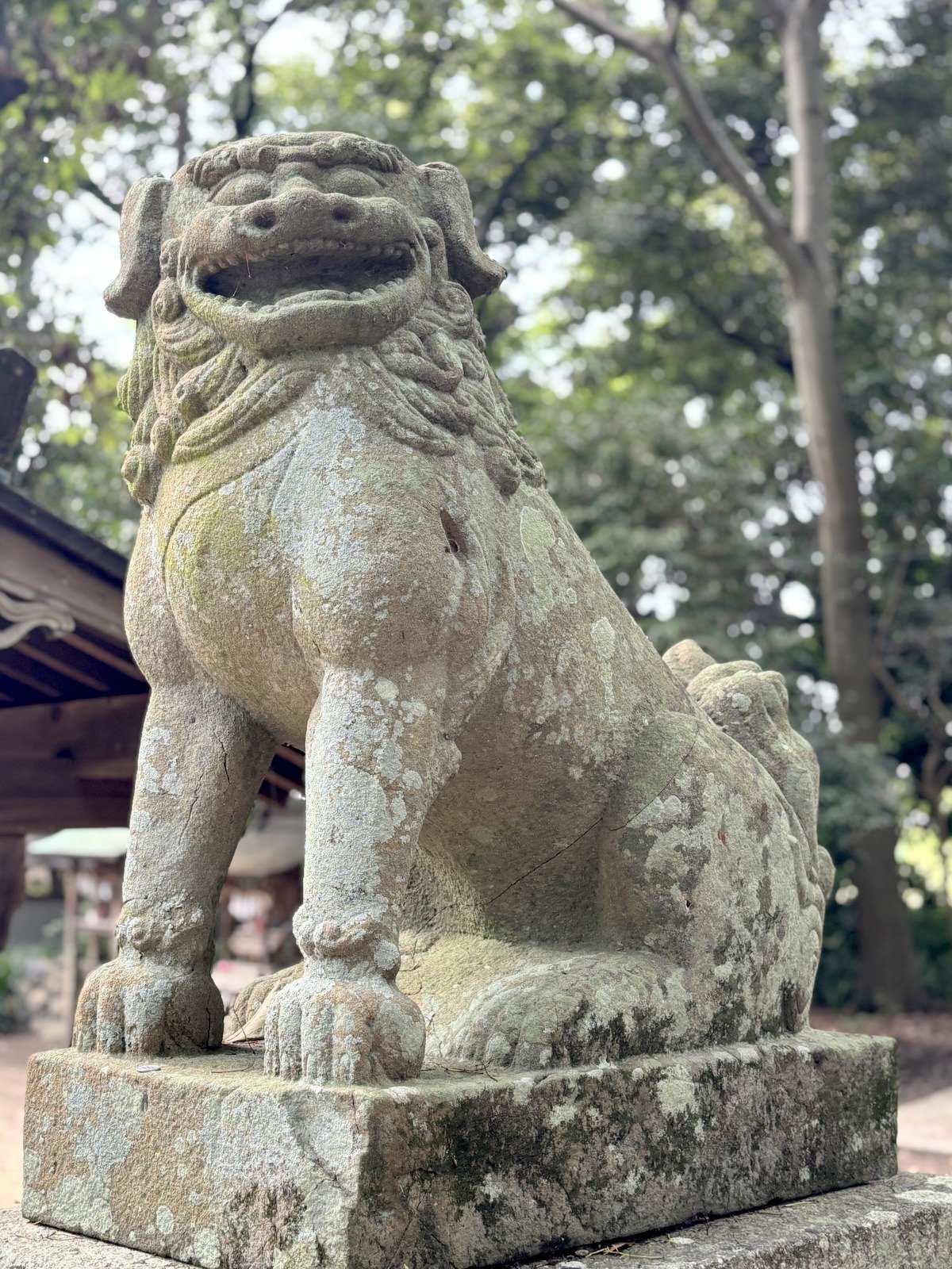 狛獅子狛犬コレクション（一部シーサー）in 松前町｜＃ヒキダシ