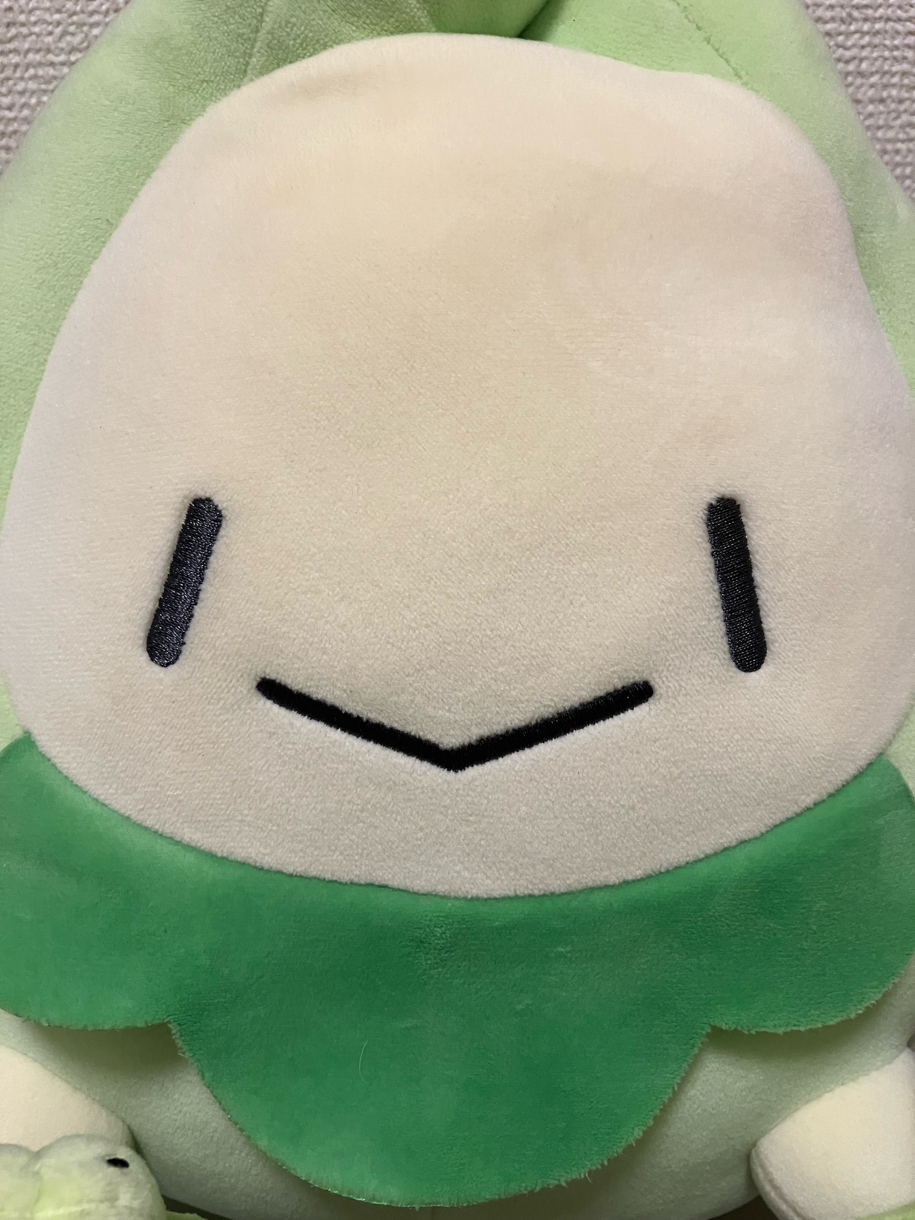 自分の好きなスボミーぬいぐるみの魅力を語る🌱｜もり