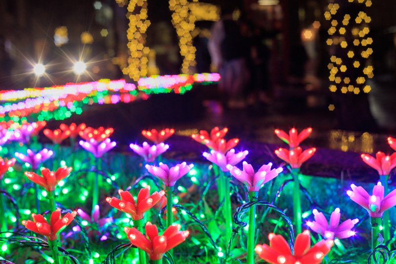 Industar 61 L/Z-MC 50mm F2.8 の星ボケ作例付きレビュー｜山口県の