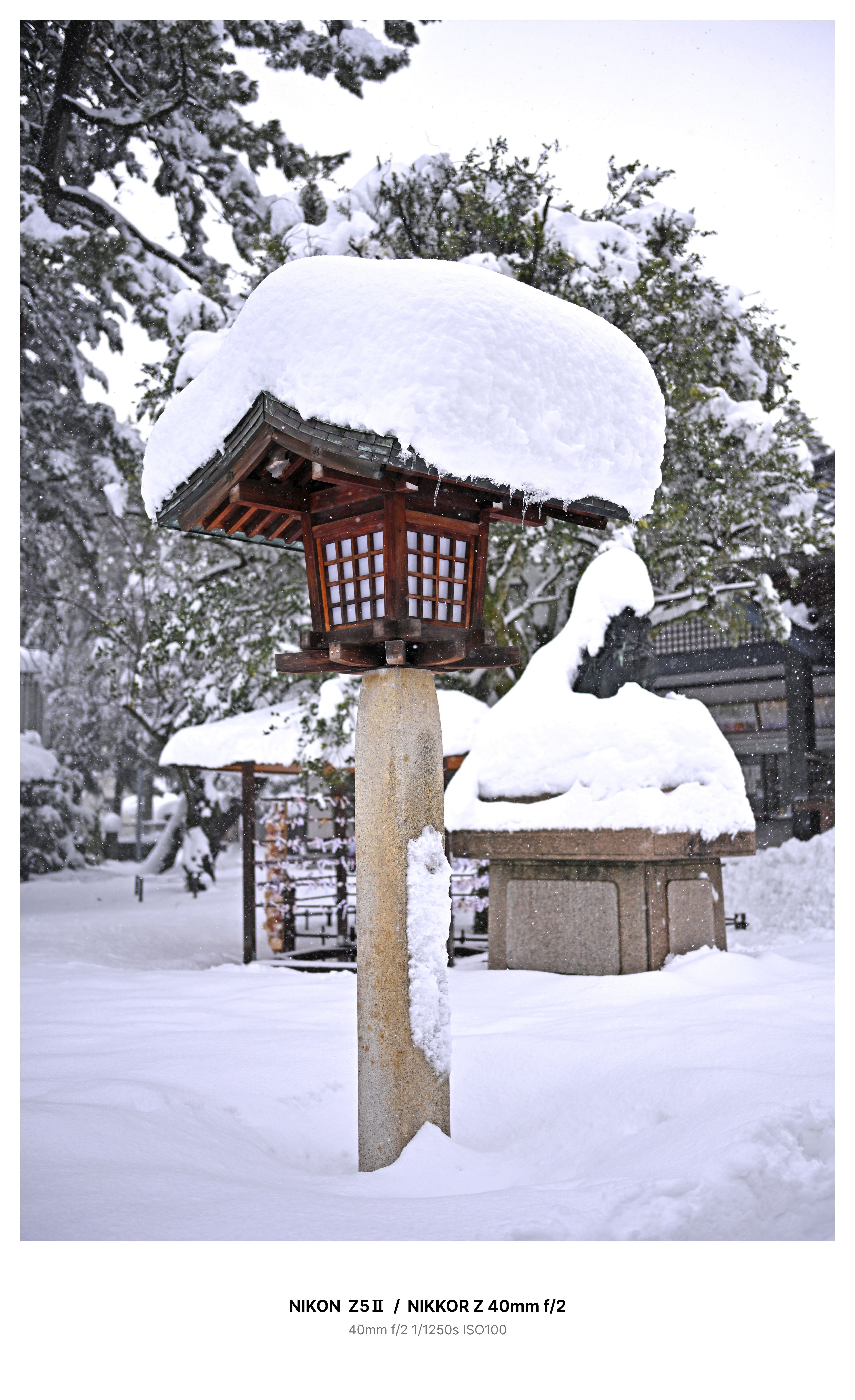 大雪の金沢・尾山神社でスナップ Z5Ⅱ｜kenken