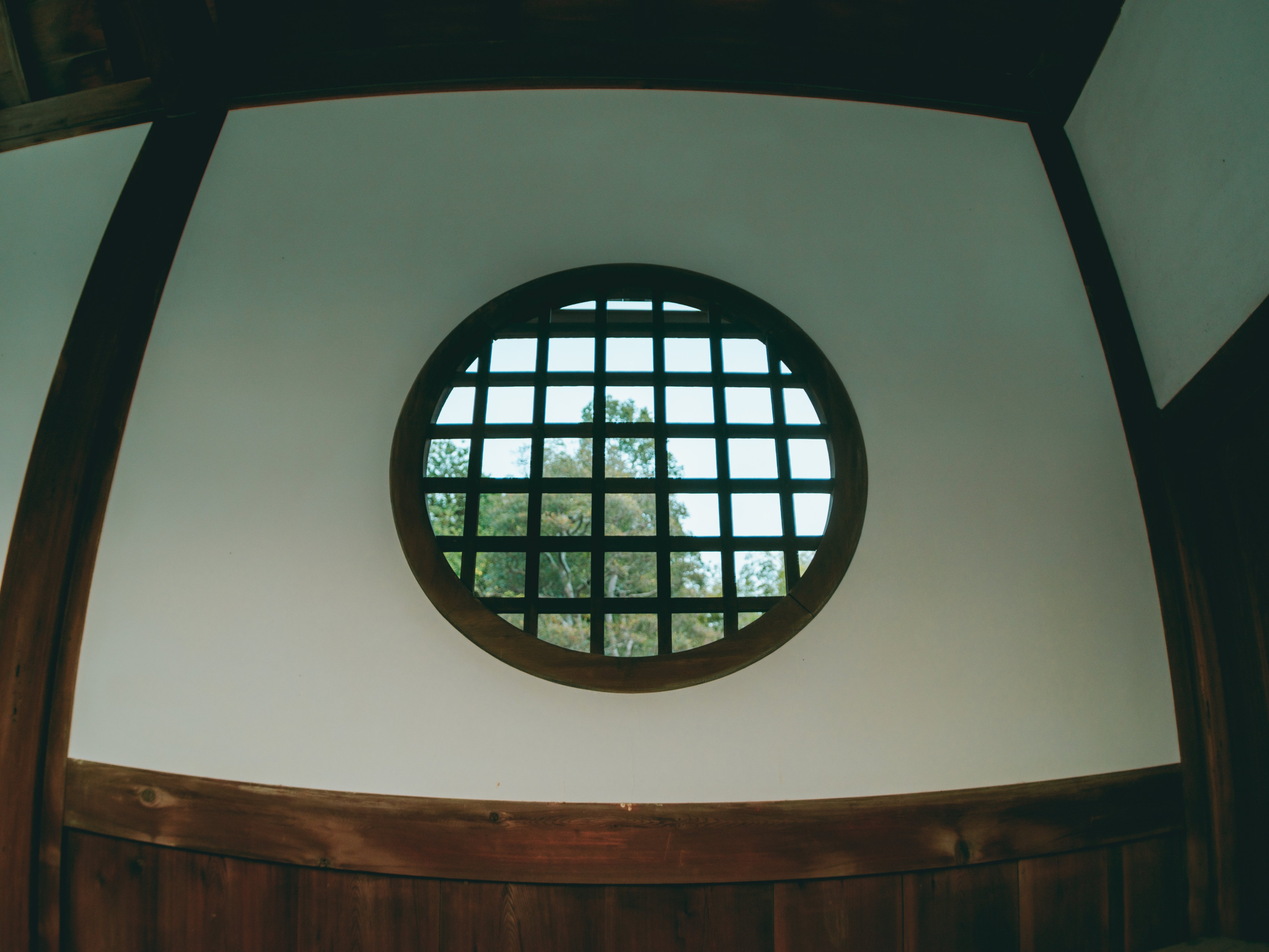 GFX用に魚眼レンズ:Arsat 30mm f3.5を買った。｜友人