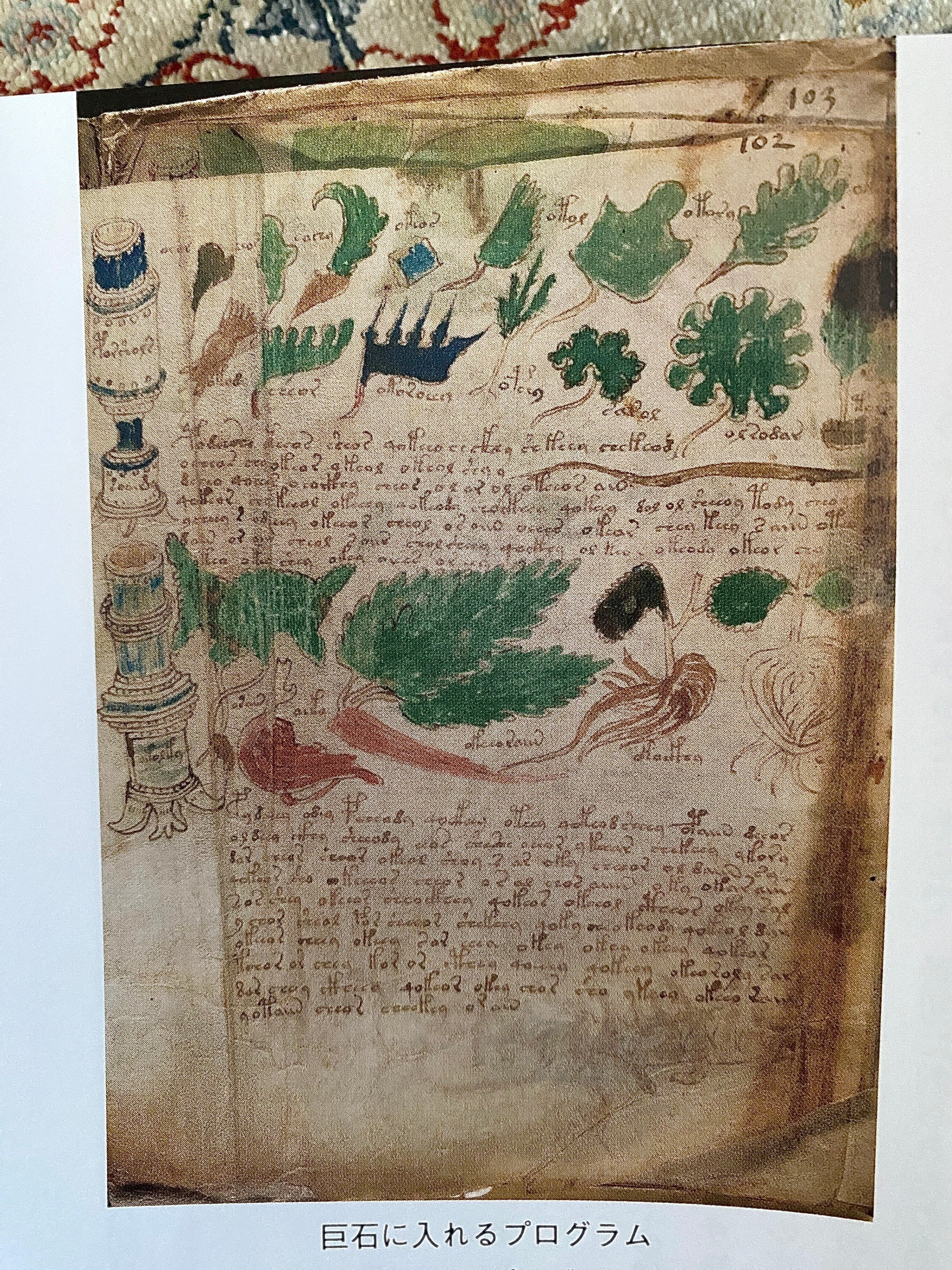 ヴォイニッチ手稿の秘密』 ーVoynich Manuscript｜Lulu's Cabinet