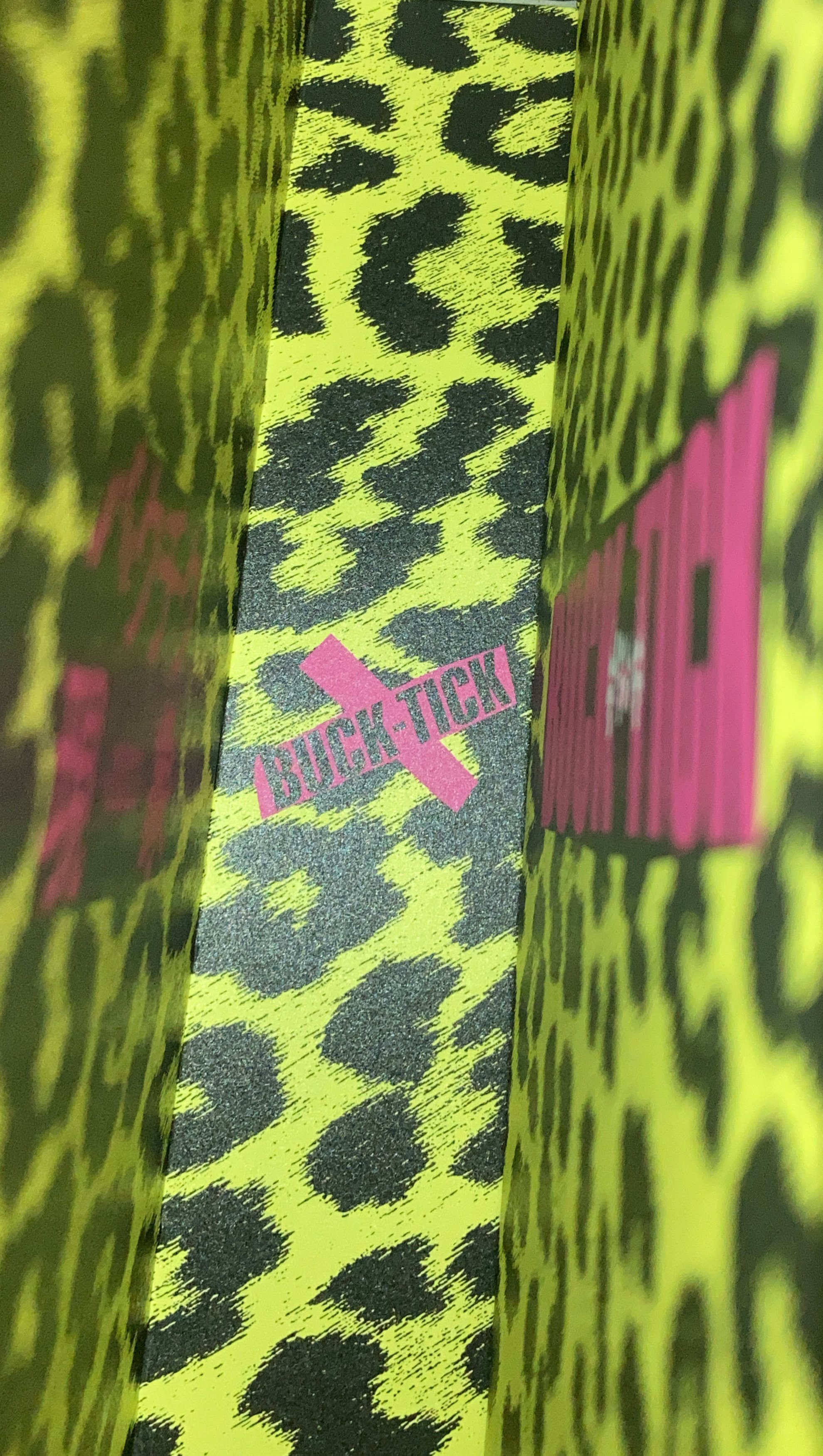 DVD】バクチク現象-2023-｜ききょう