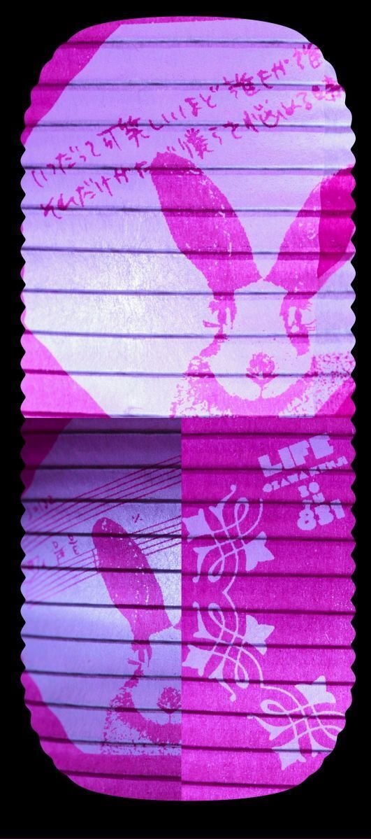 小沢健二「LIFE再現ライブ」8/31 @武道館 に行ってきました｜clione