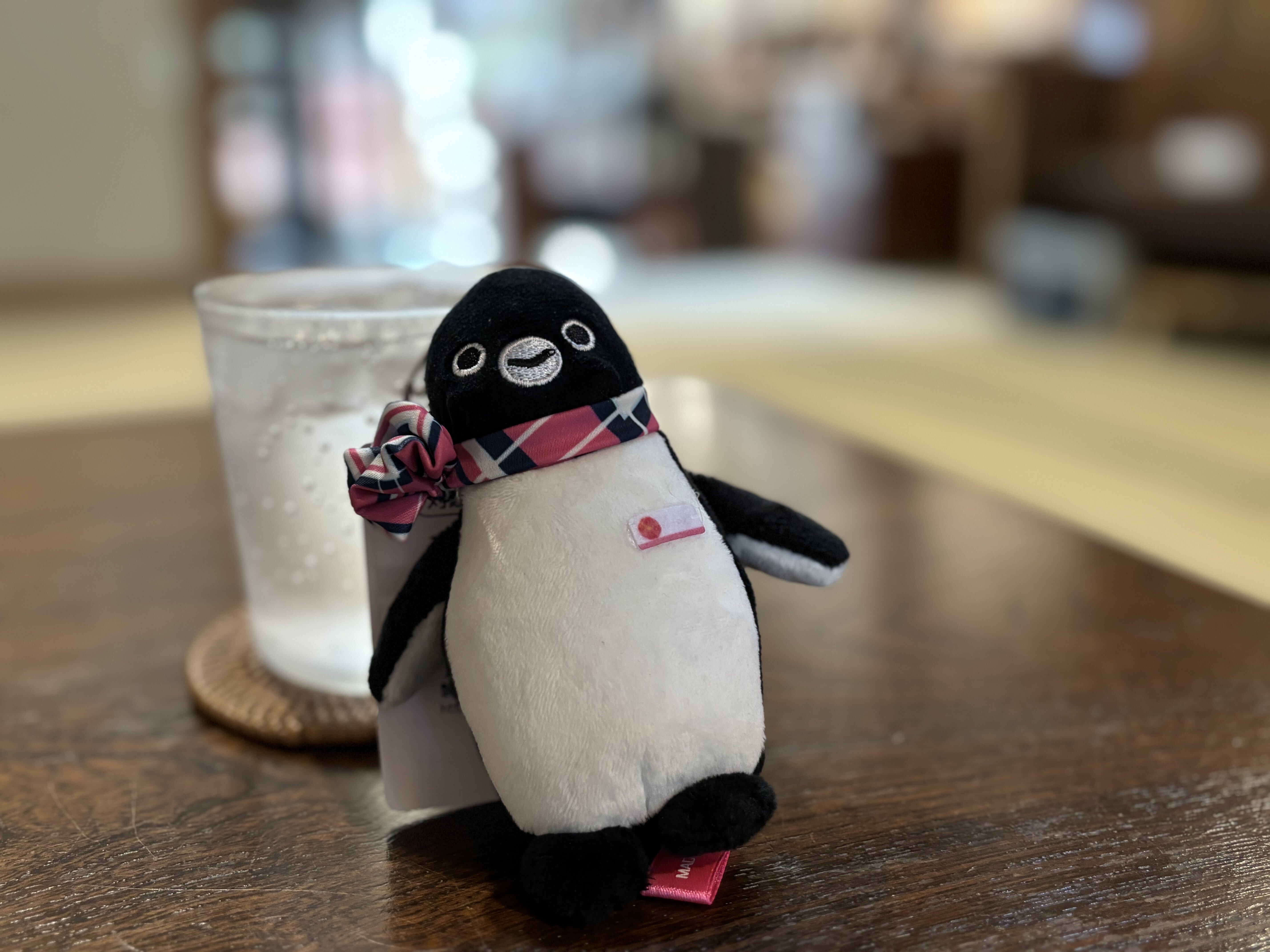 夏休み】Suicaのペンギンと真鶴へゆく｜今宵