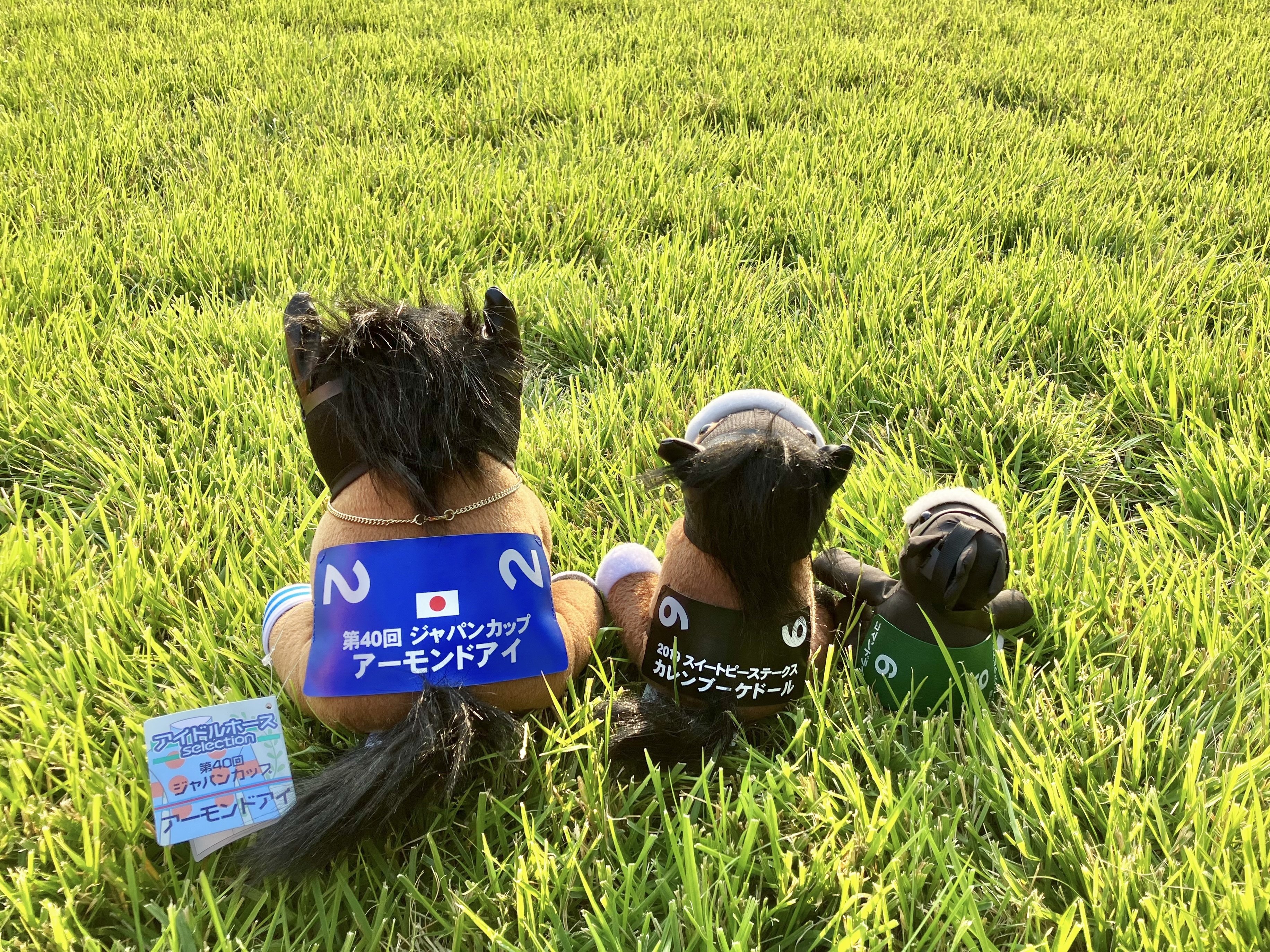 ブケぬいを連れ回す｜はね田