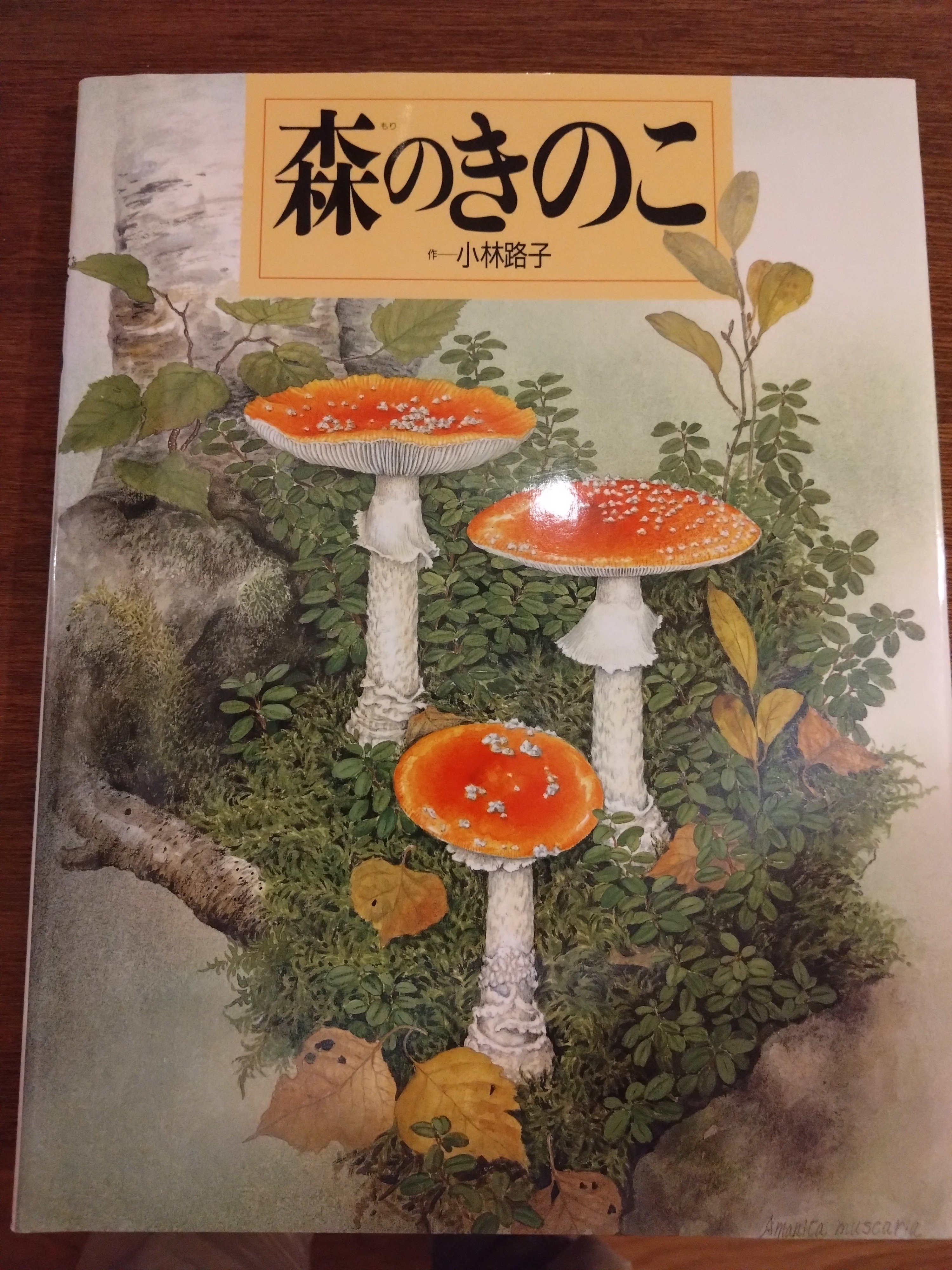 藻岩山の森林と関わるきのこたち＆札幌近郊林のきのこ』大型本 完売本