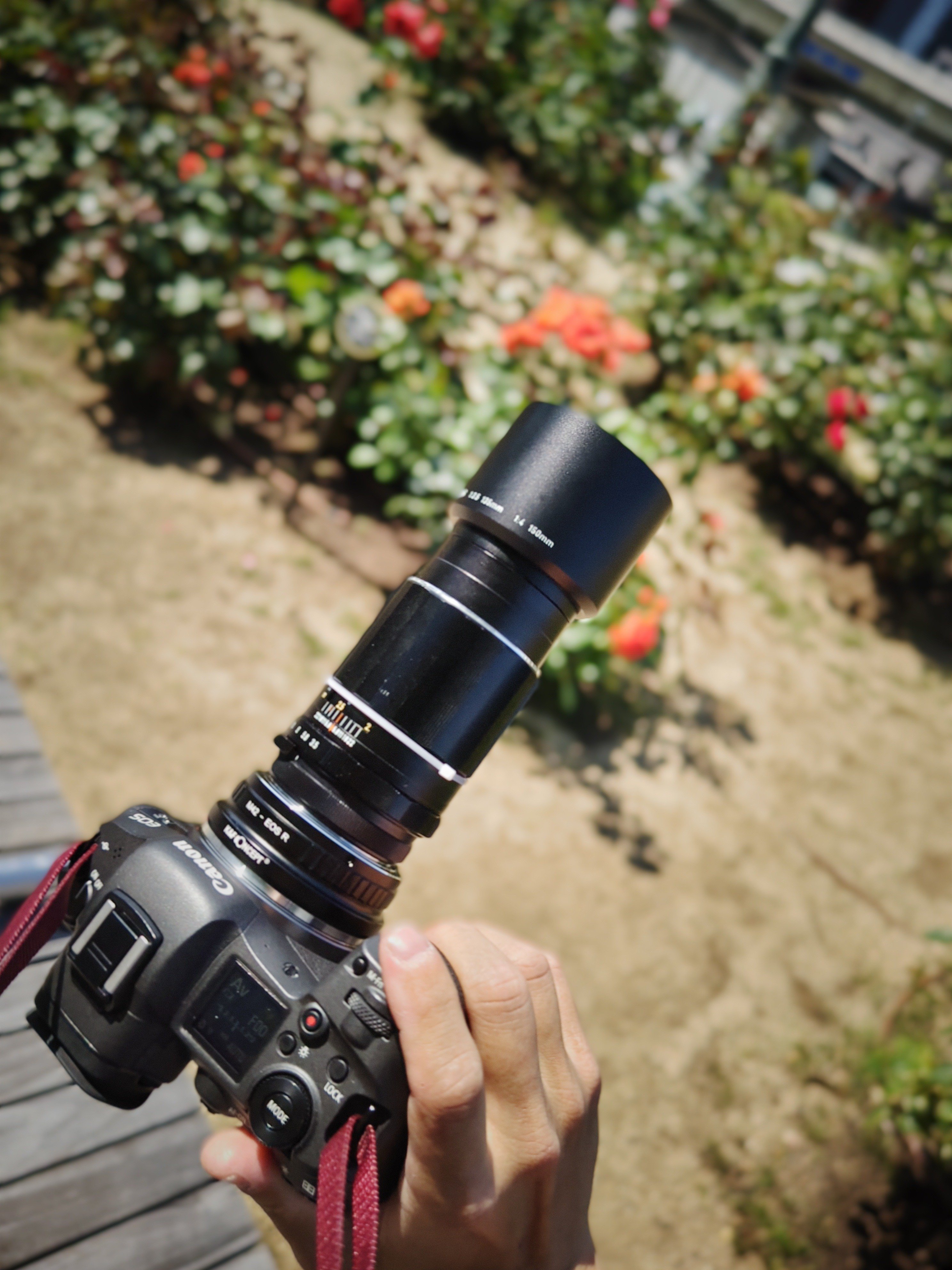 mayuriとレンズぬま *第二十三本* ASAHI PENTAX Super-Multi-Coated