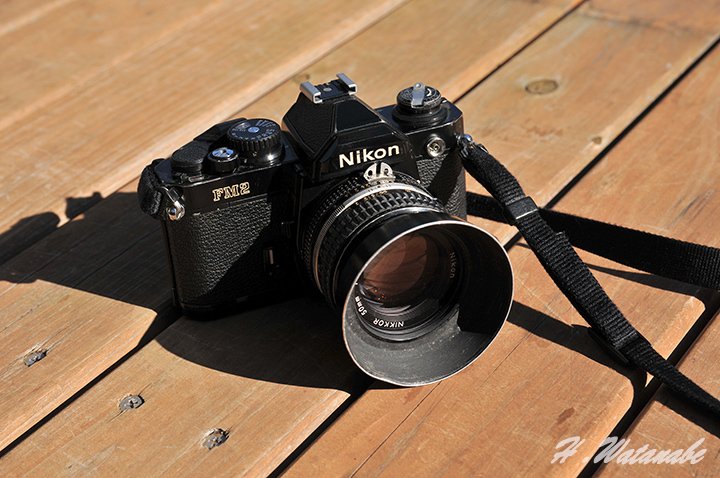 ニコンNew FM2 シンプルかつ使い勝手のいいフィルムカメラ｜渡邊博士