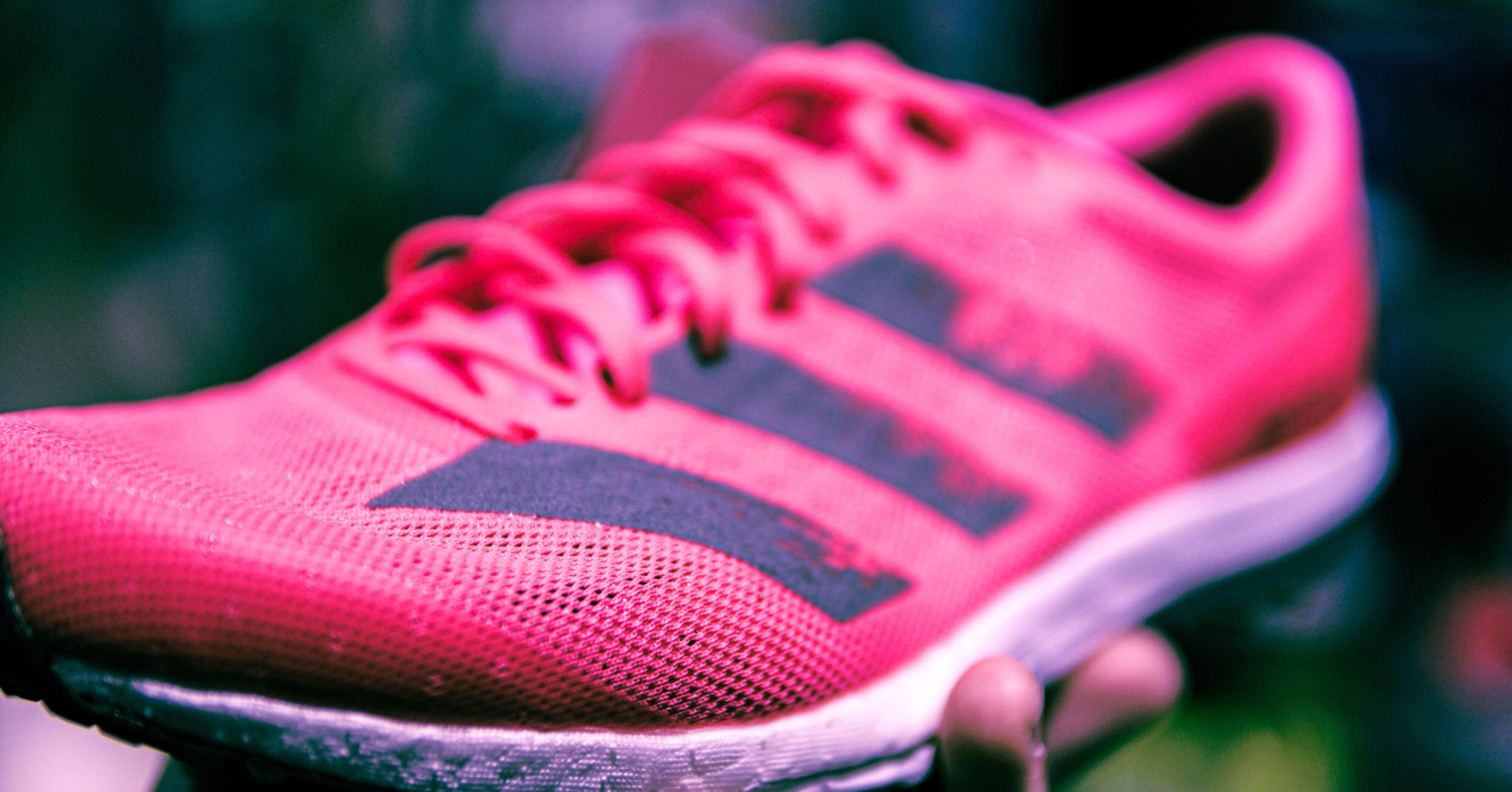 6eb7cb736b7f26feb5a868e04f0d73