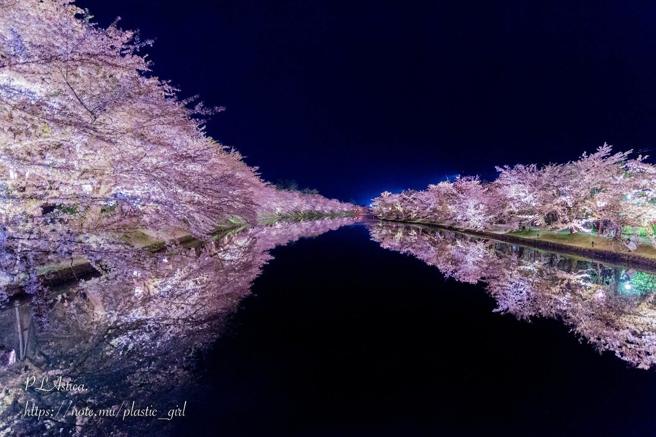 シーグラスアートhirokoponno.92夜桜散歩桜の季節の立体アート作品