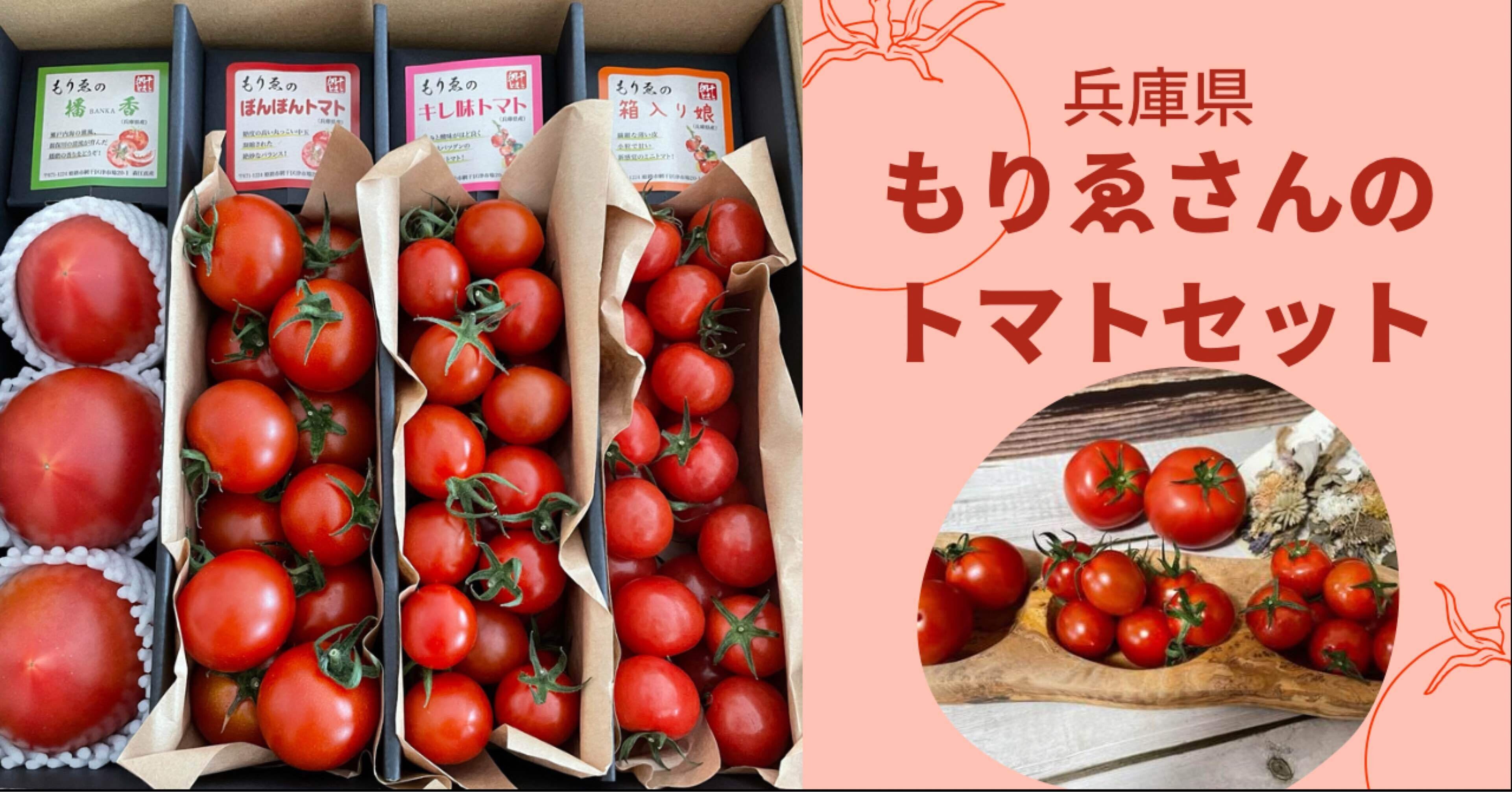 トマト紹介】もりゑさんのトマトセット｜トマトコンシェルジュYumi