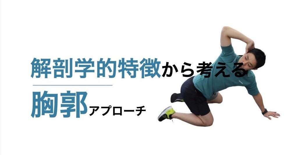 解剖学的特徴から考える胸郭アプローチ｜平 純一朗｜理学療法士