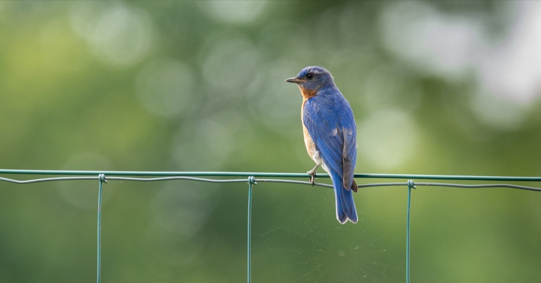 c269357264e38f065effeedce3a1fc