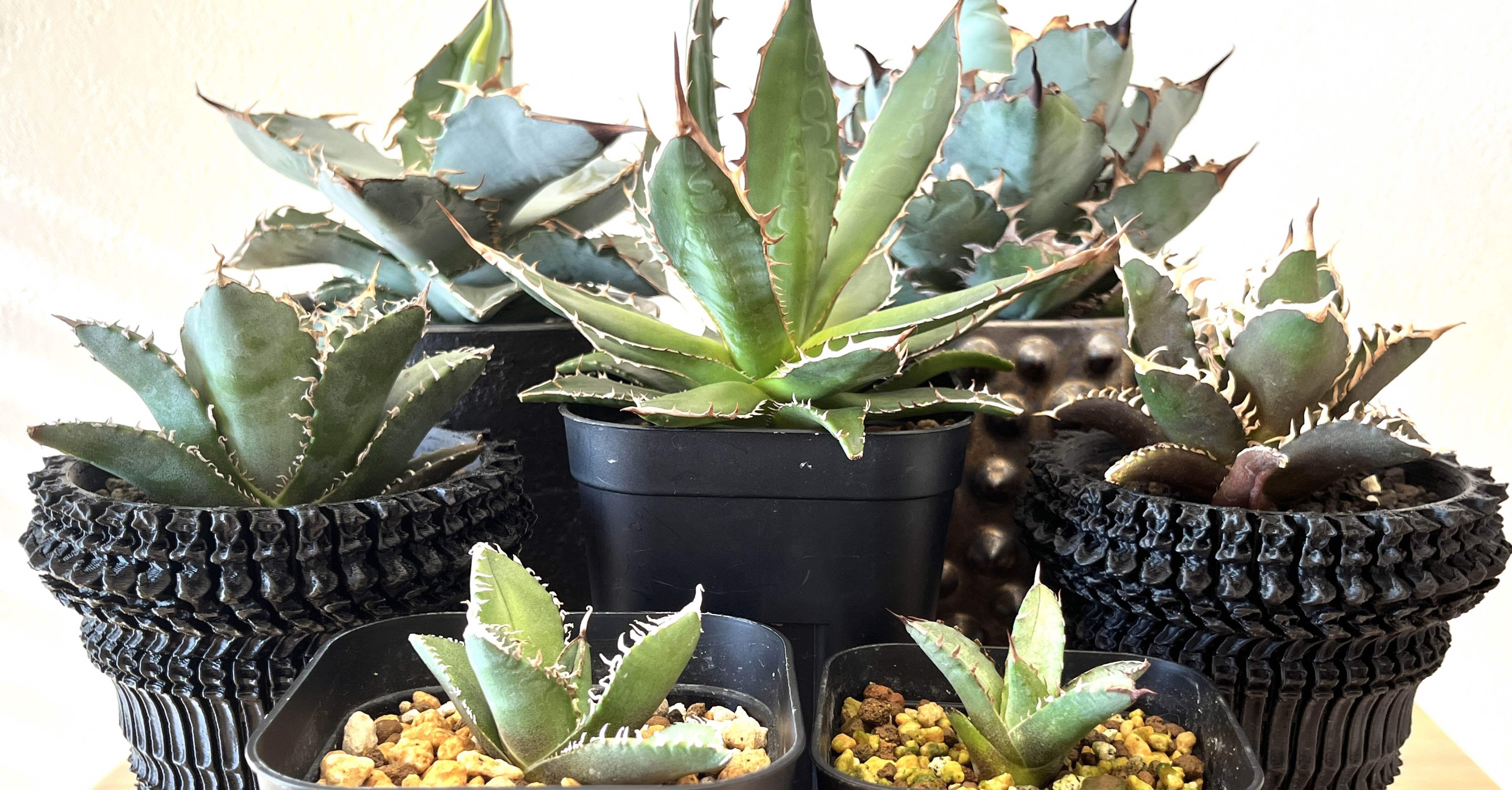 1a00e61aa4a2861192b6dbb9813131