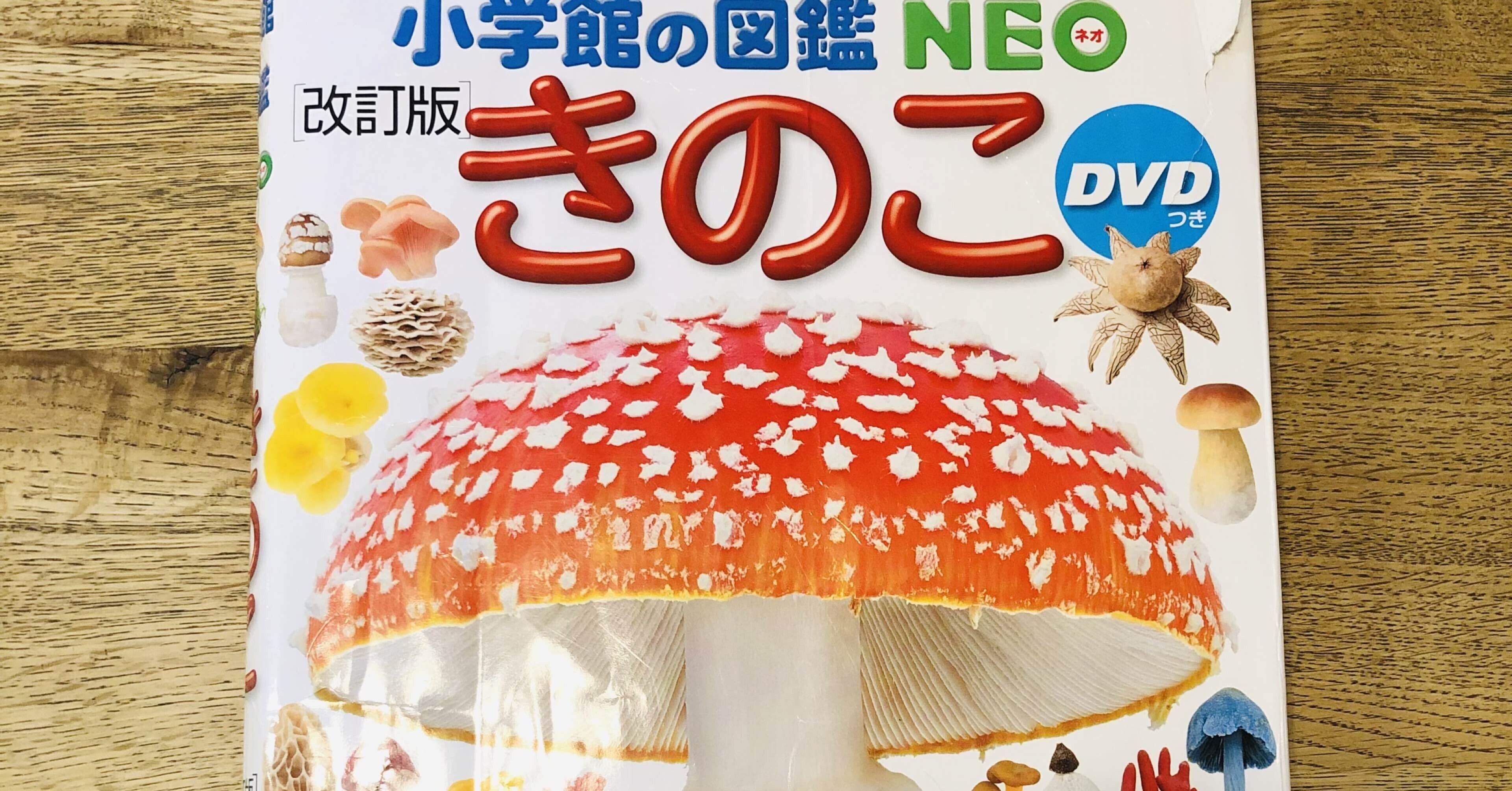 a9acdc65a5b2237c31db8bcc3c8e3a