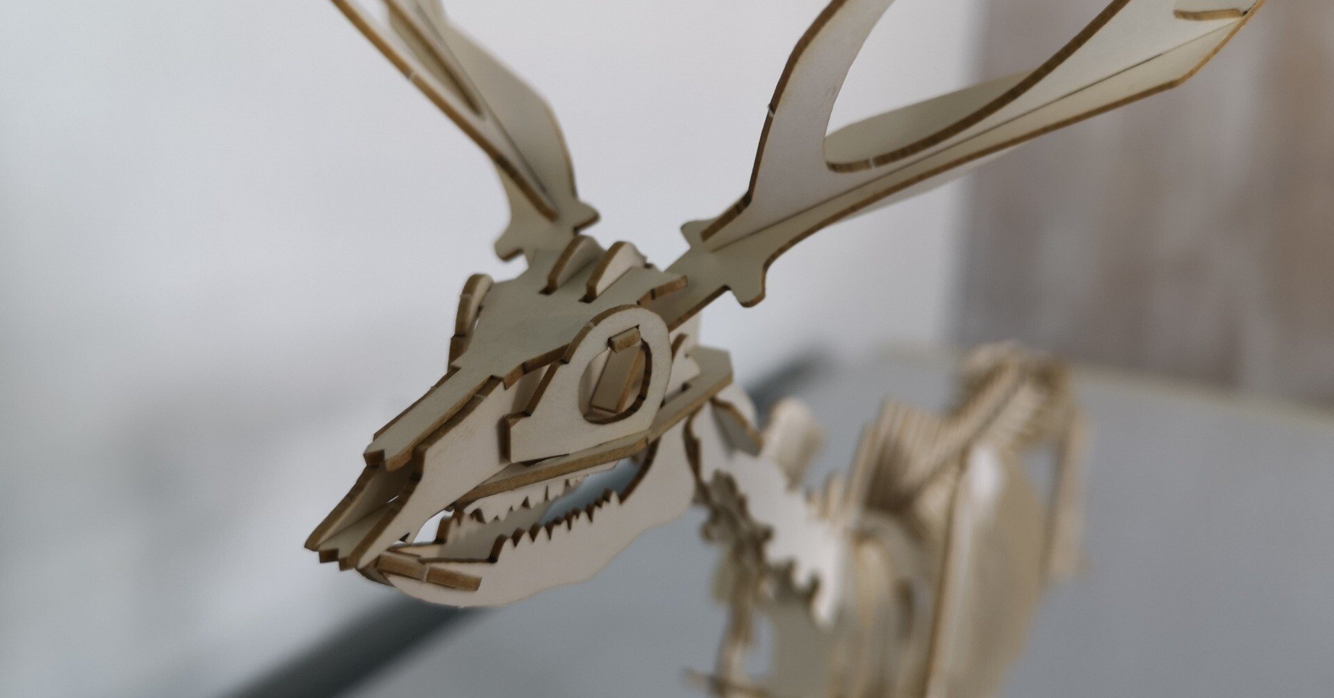 ニホンジカ全身骨格ペーパークラフトを組み立てる｜考えるジビエ