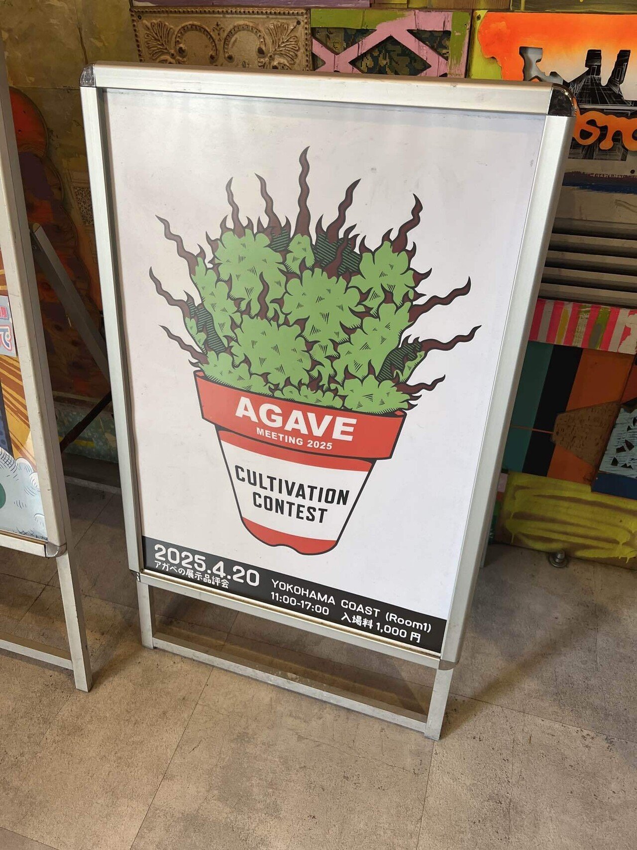 アガベ沼に落ちた話29「AGAVE MEETINGに行ってきた！」｜mare_agave
