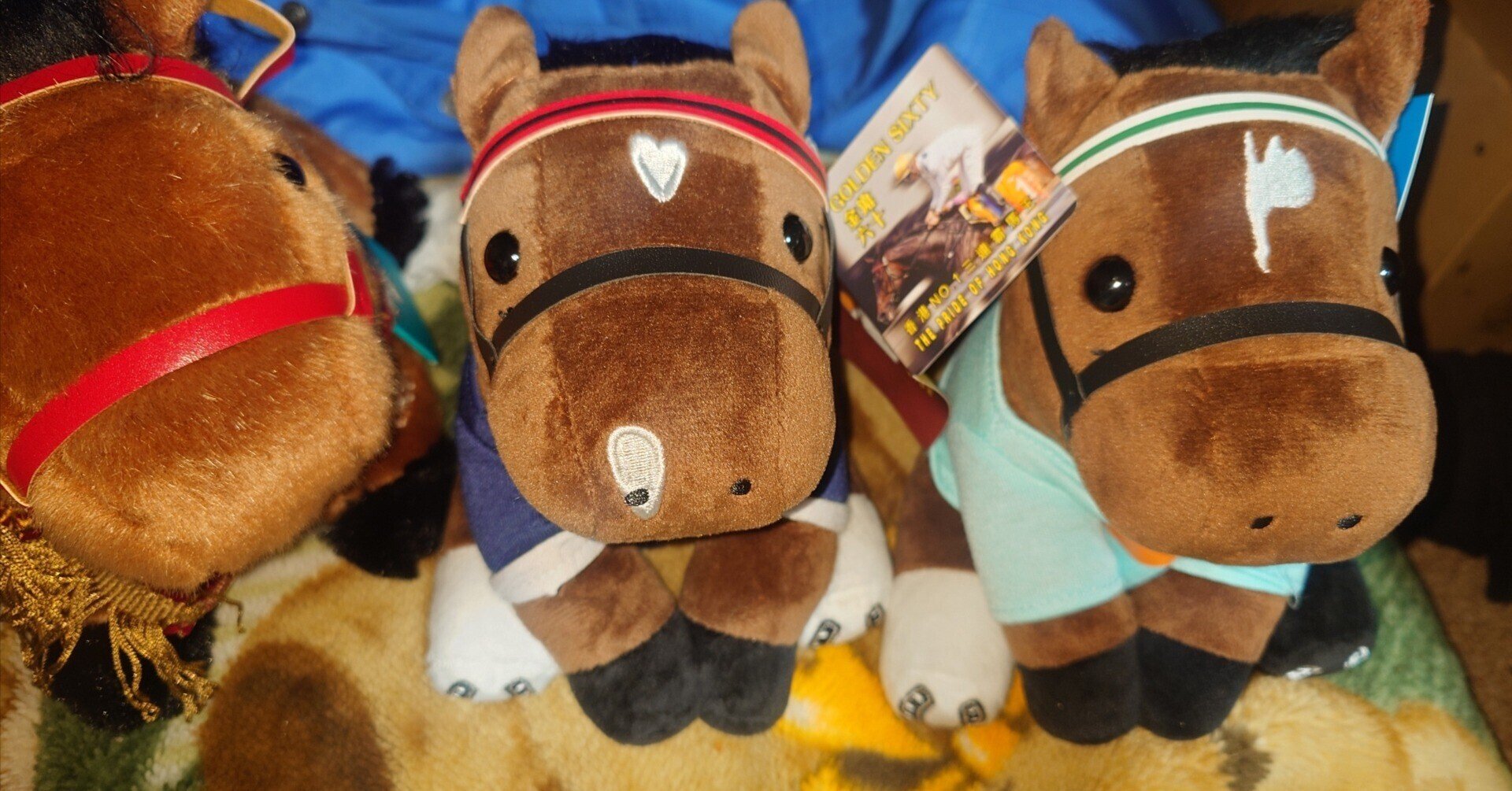 アイドルホースぬいぐるみ？ 香港馬｜デカル(ΦωΦ＊)のアイドルホース