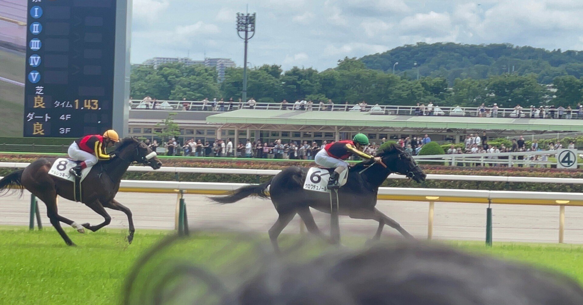 クロワデュノール――その衝撃の新馬戦から、ダービー戴冠を目指すまでの