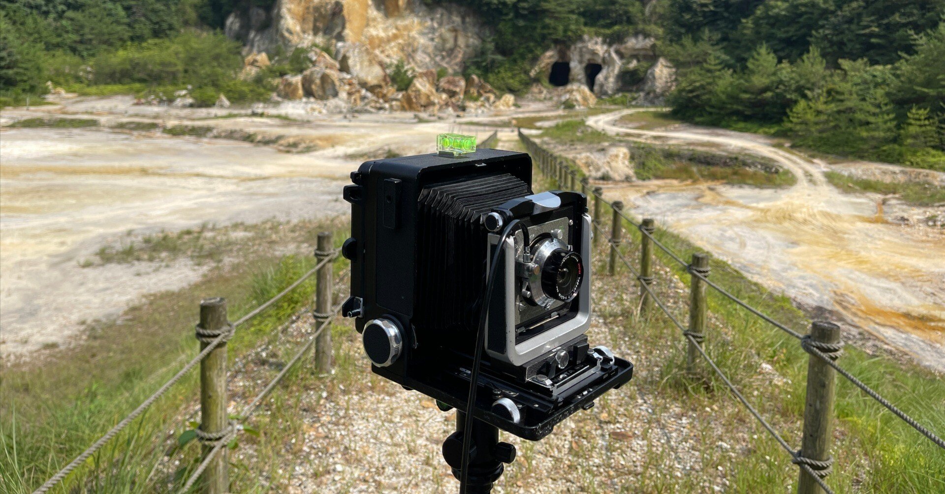 大判カメラWISTA45｜怪力熊男