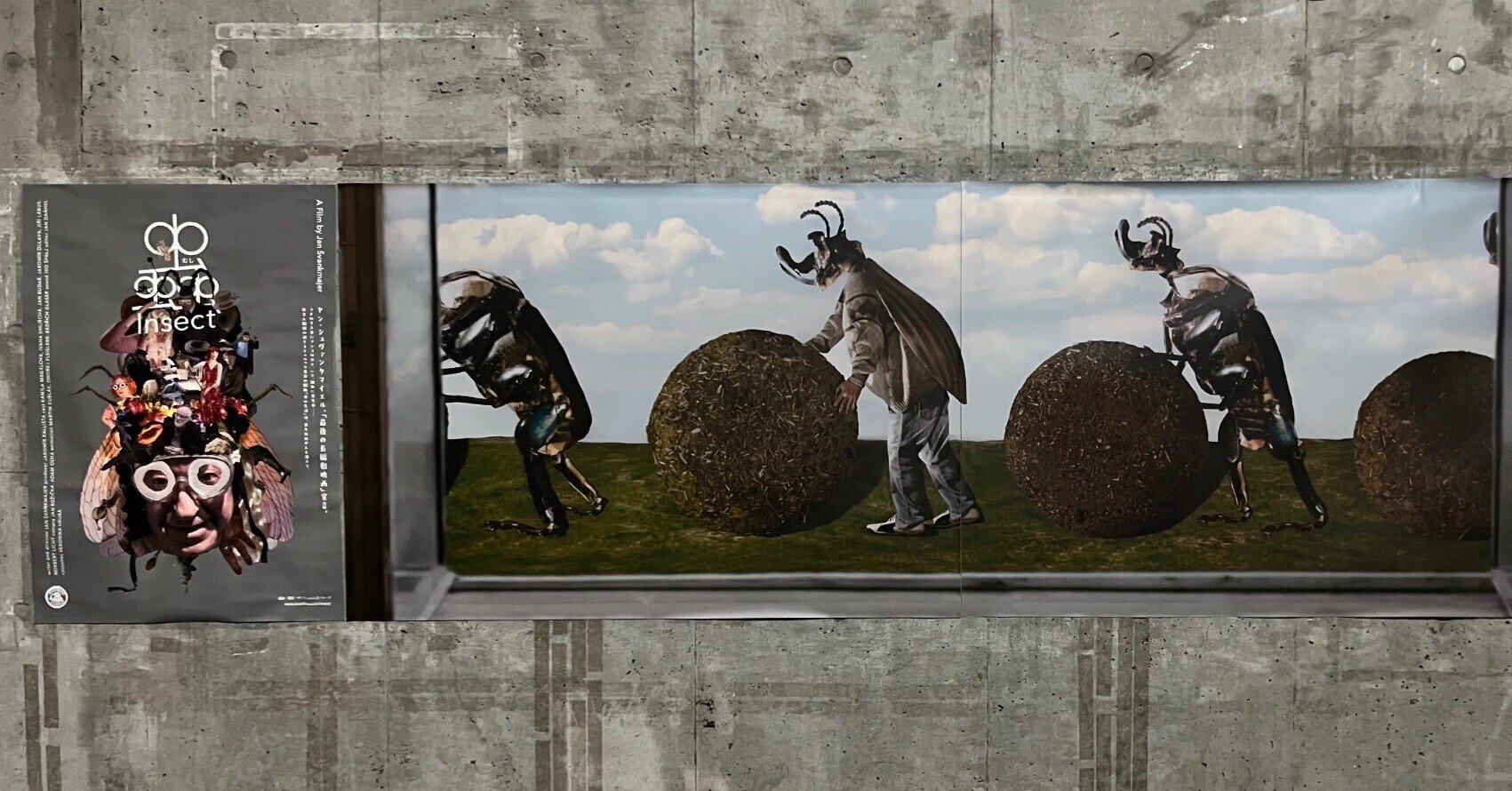 映画】蟲 Hmyz/ヤン・シュヴァンクマイエル｜marr / alma booksの中の人