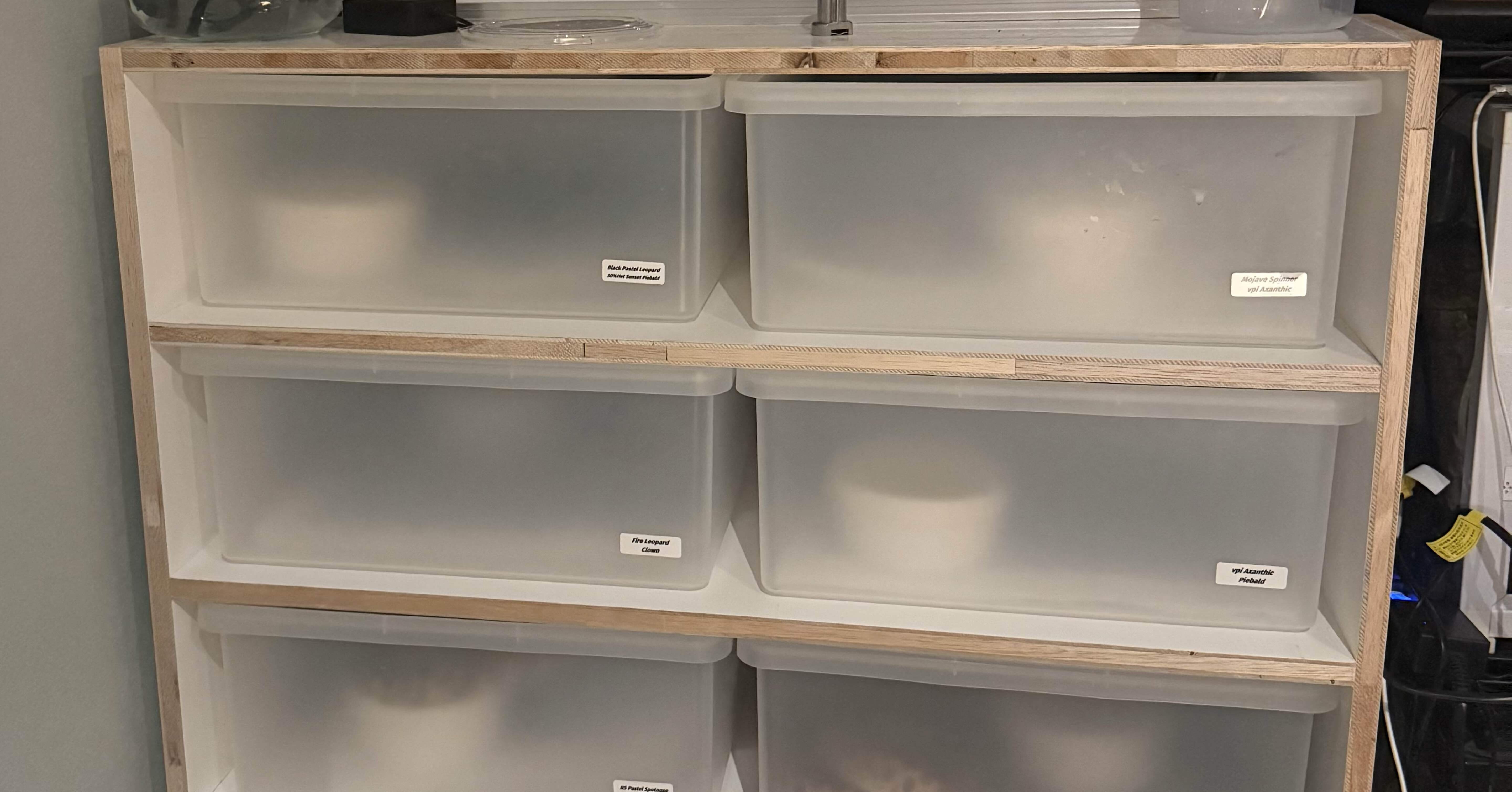 🐍スネークラック飼育のメリットと作り方｜爬虫類と1R生活