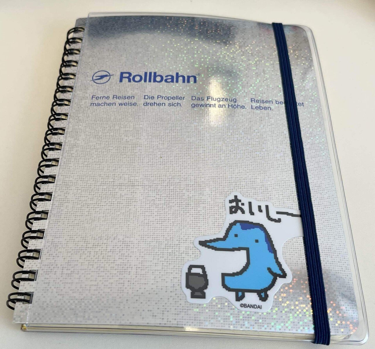 1月の読書記録(ラッコ本多め)｜ラコ丸