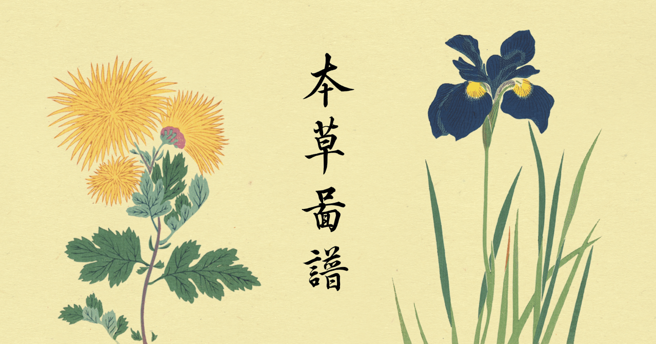 日本山草図譜 日本山草図譜 Amazon.co.jp: 日本山草図譜 : 五