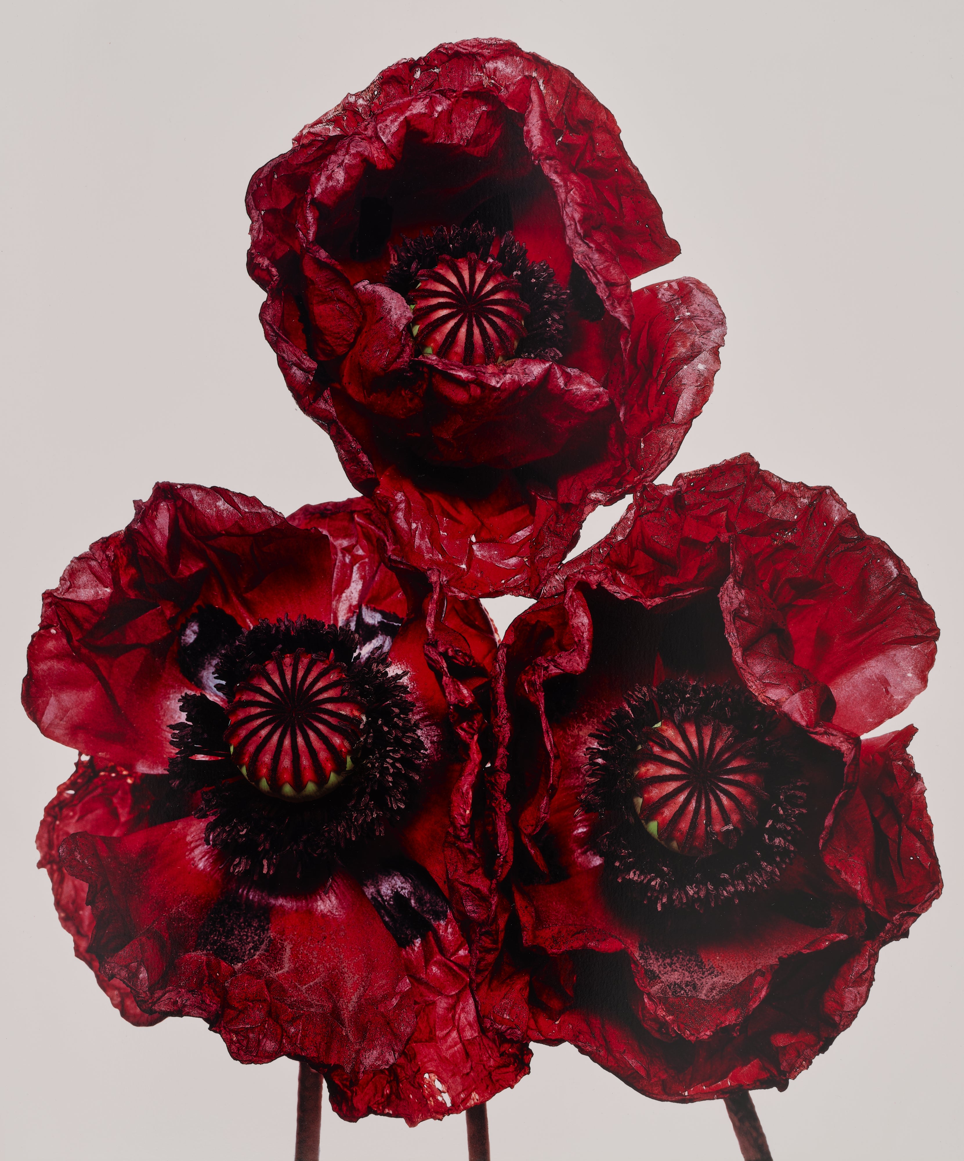 Irving Penn Visual Language: The Art of Irving Penn