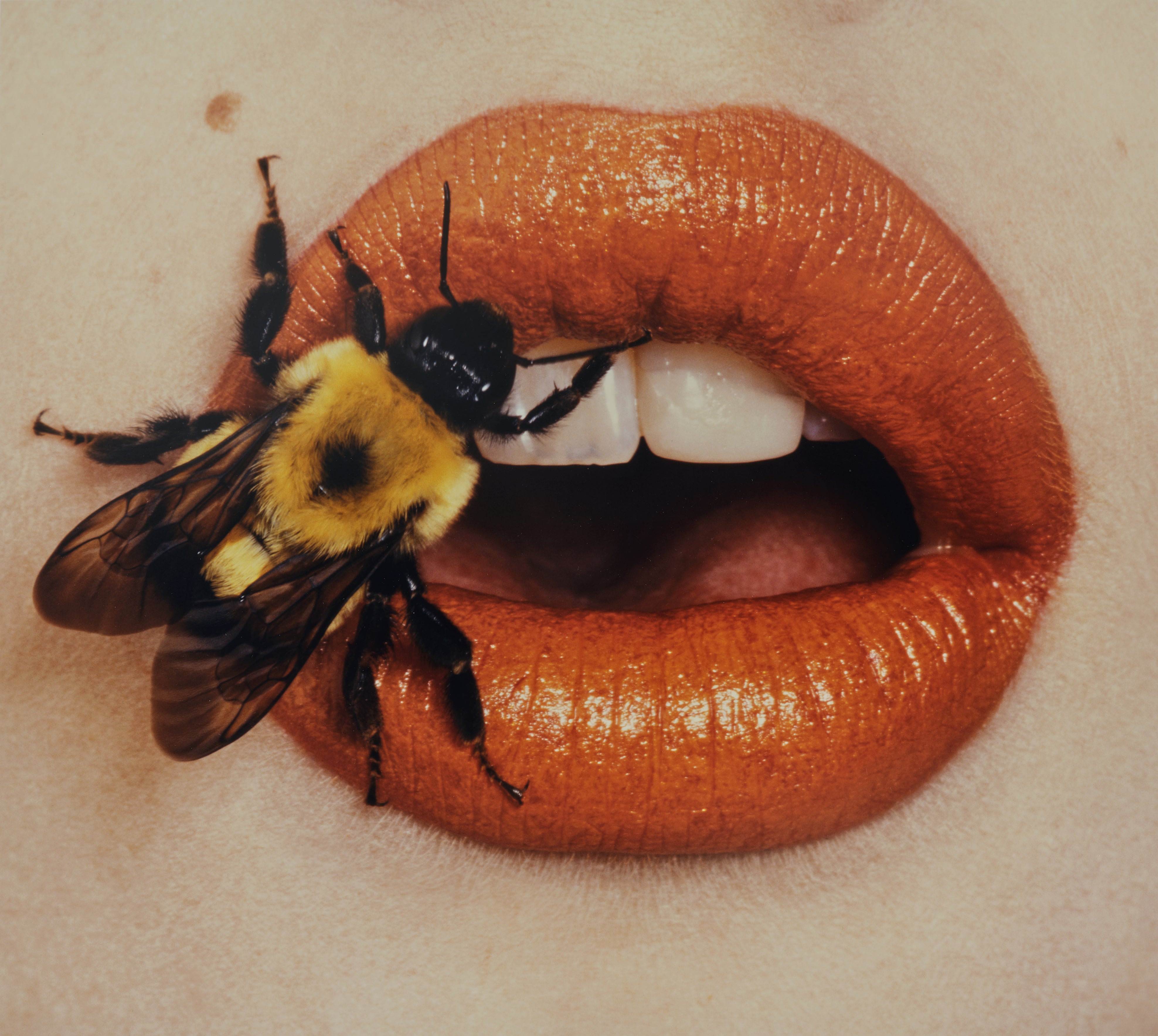 Irving Penn Visual Language: The Art of Irving Penn