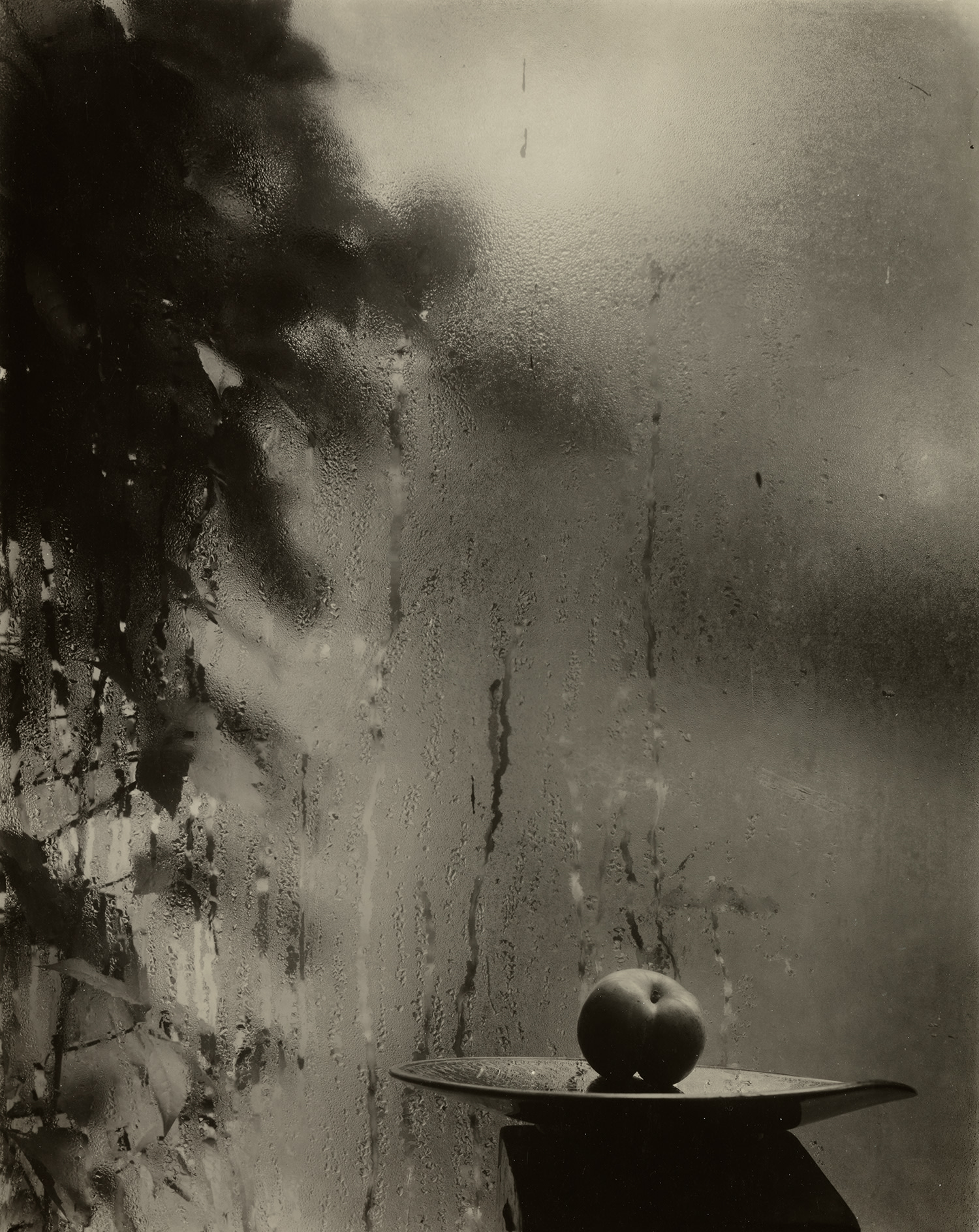 Josef Sudek Photographs