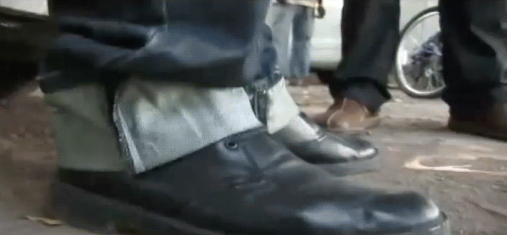 A Short History of the Love Affair Between Jamaica and the Desert