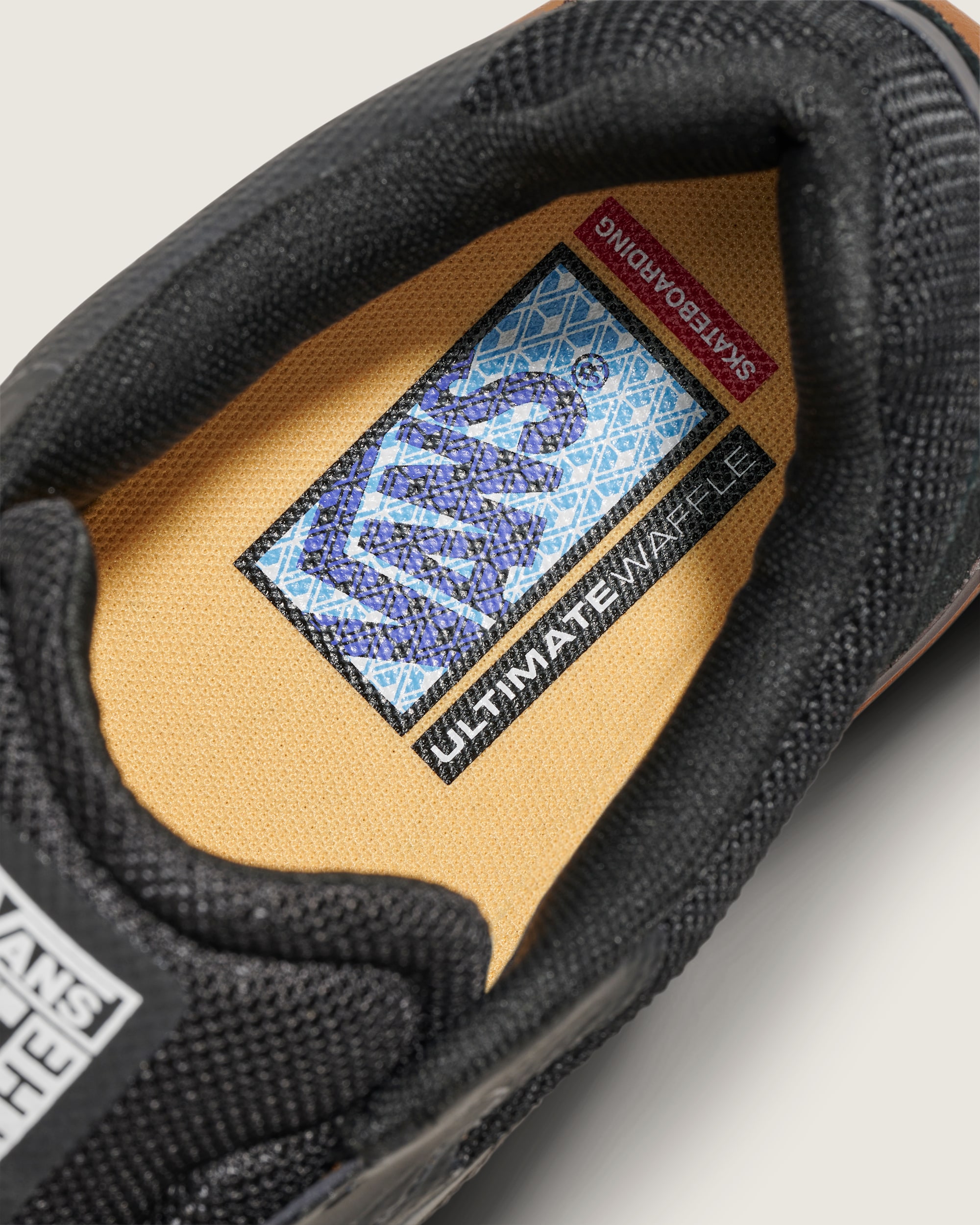 Skate AVE 2.0 Shoe in Gum Black | Vans
