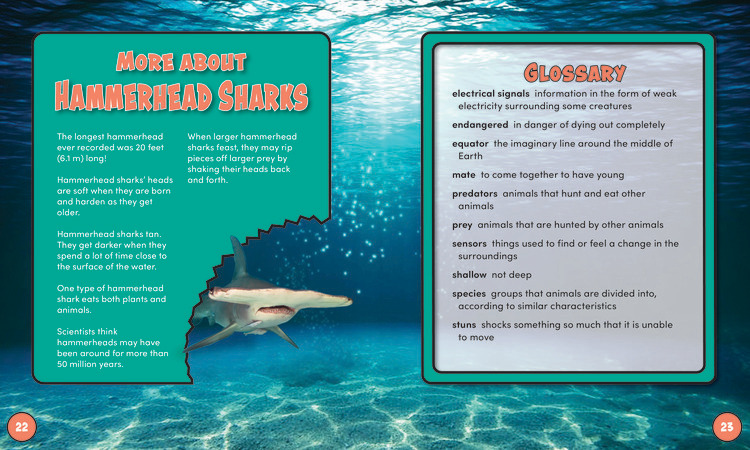 Hammerhead Shark - Bearport Publishing