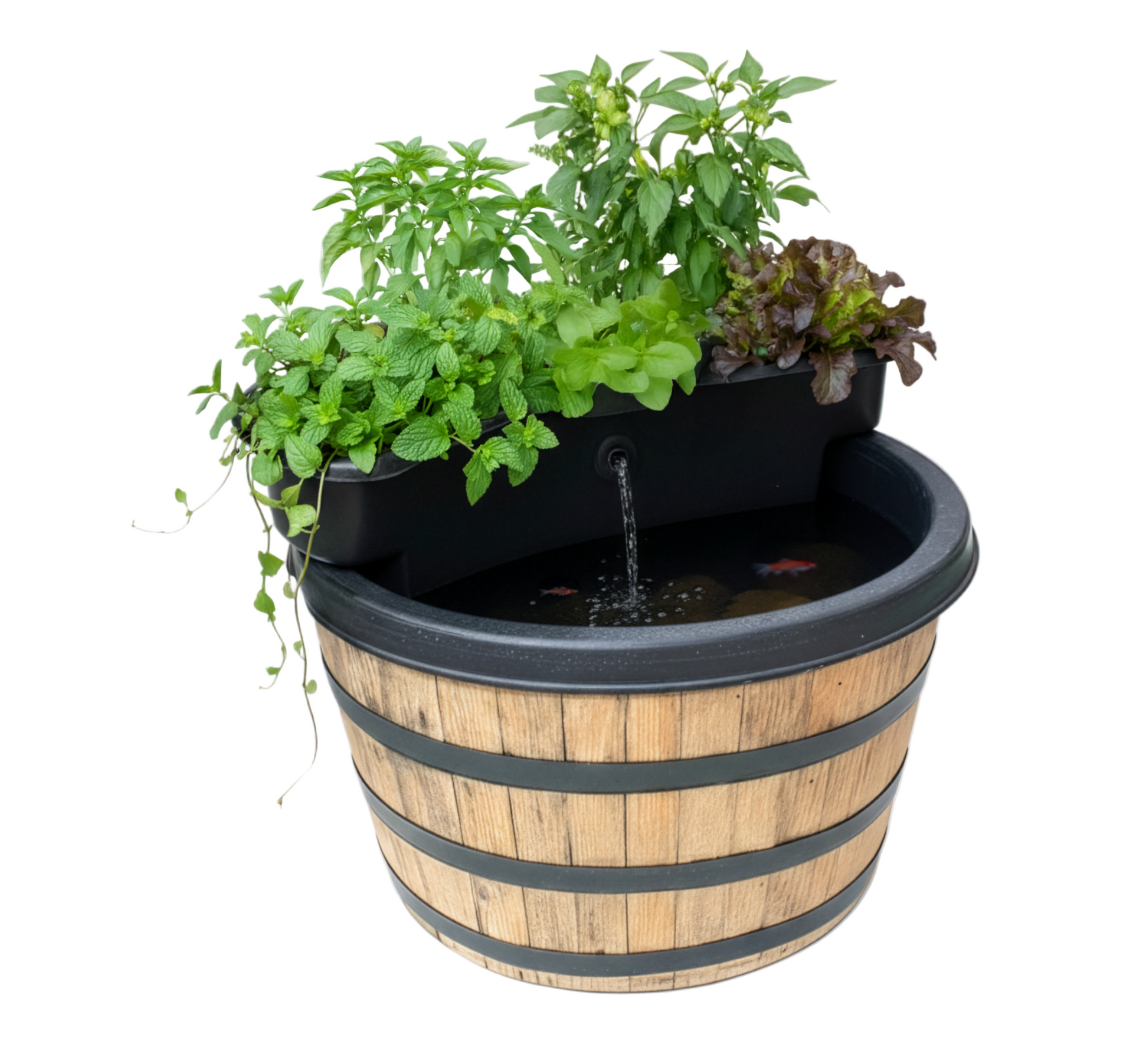 Aqua Magazine Pee'P 水草特集 No.1〜12 Aqua Magazine 注文 Pee'P