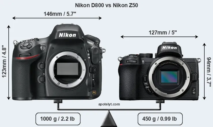 Nikon D800 vs Nikon Z50 Comparison Review