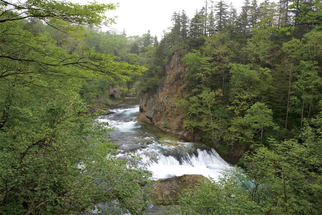金山渓谷（標津町）| Domingo -ドミンゴ-