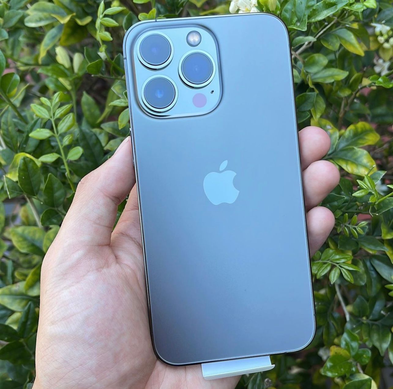 iPhone 13 Pro Max 256GB SIMフリー MLJ93J/A Amazon.com: Apple