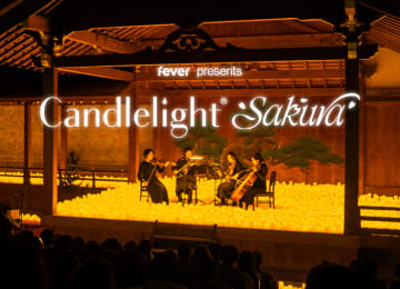 35024ce2-0020-11f0-a0b8-