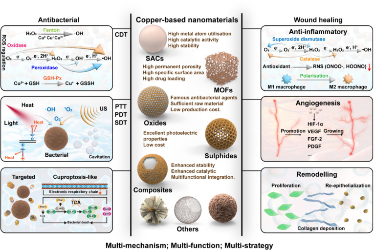Copper-based nanomaterials for the treatment of bacteria-infected