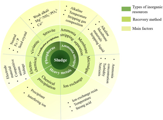 A holistic valorization of treasured waste activated sludge for