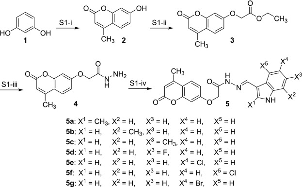 Discovery of coumarin-conjugated hydrazonoindoles as new type of
