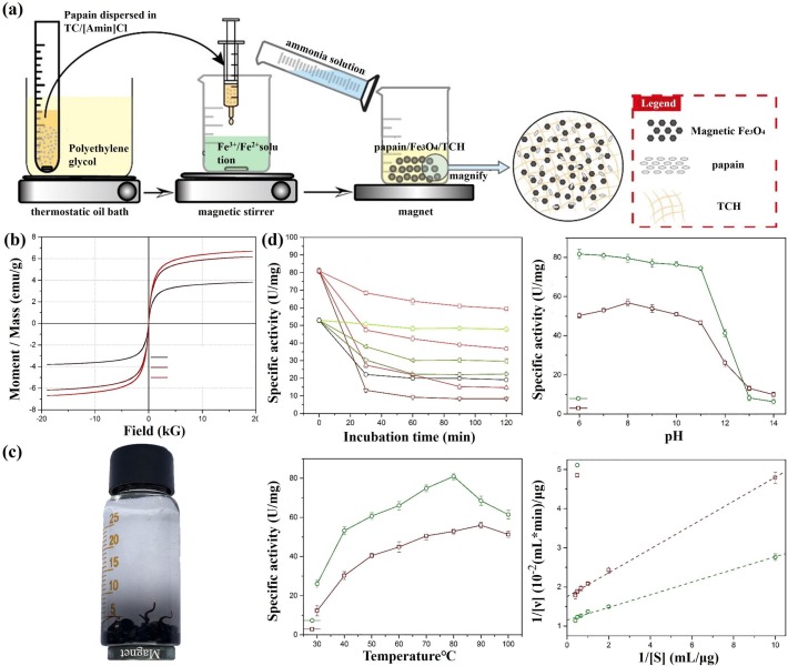 Preparation and applications of magnetic nanocellulose composites