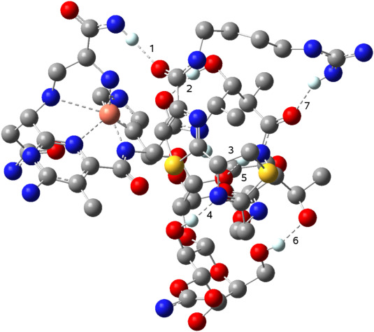 Phleomycin complex – Coordination mode and in vitro cleavage of