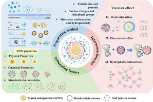 Preparation-controlled structural modulation of starch