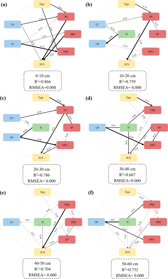 Beyond monocultures: Optimizing soil carbon sequestration with