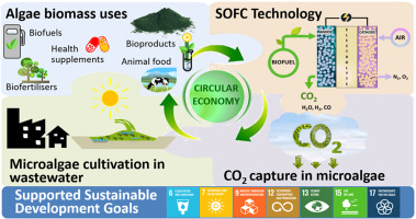 Optimisation of a sustainable energy system based on solid oxide