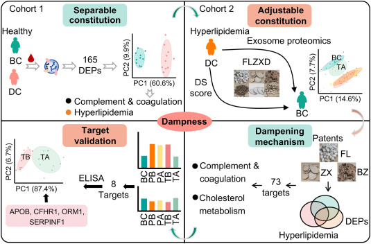 Serum-derived exosome proteomics unveils the distinct and